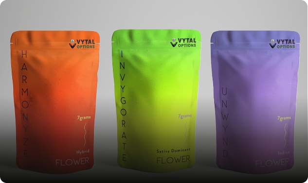 Vytal project